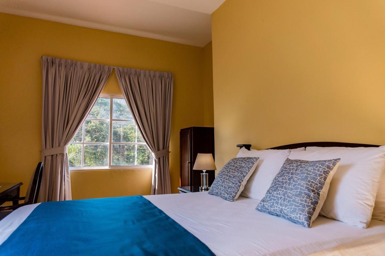 Art Hotel Boutique San Pedro Sula Exteriör bild